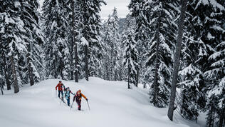 DB_5037_SKITOUR_WS2223_Hochfügen Wald_Max Draeger_MedRes_2