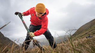 SteveAshworth_2023_Tree Planting copyright Steve Ashworth (1 of 1) 85