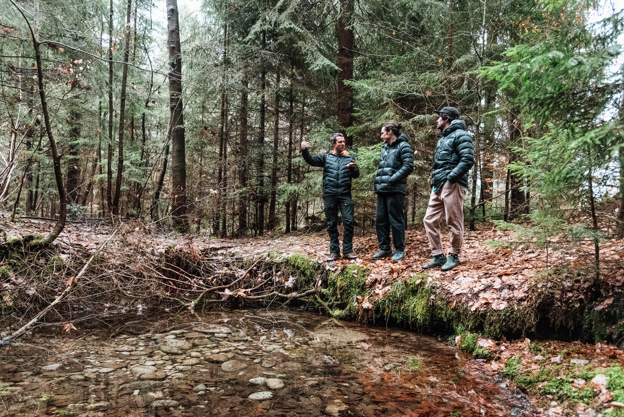 tatras-previews_MZP4141